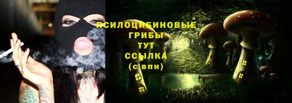 дживик Волосово