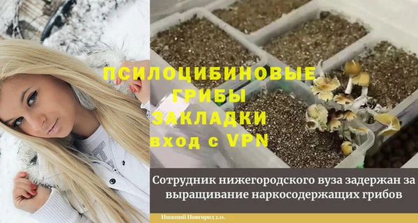 дживик Волосово