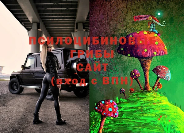 дживик Волосово