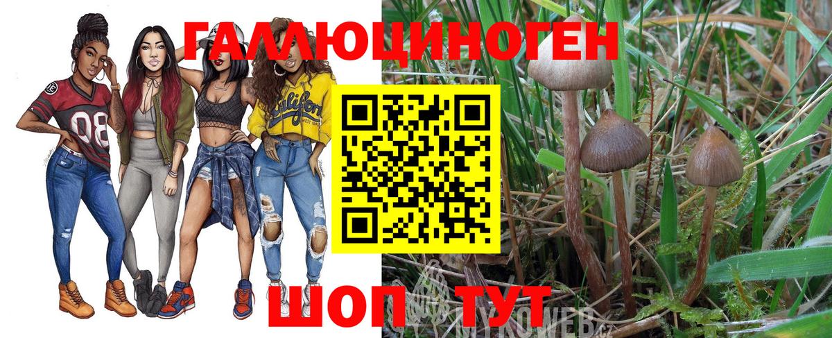 Железногорск  Псилоцибиновые грибы мицелий  Вход с VPN 
